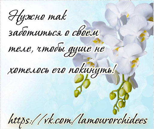 Салон красоты в Ясенево